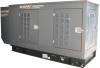 Газовый генератор Generac SG28/PG25 в кожухе Газовый генератор Generac SG28/PG25 в кожухе