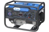Бензиновый генератор ТСС SGG 3000N с АВР Бензиновый генератор ТСС SGG 3000N с АВР